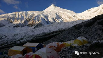 在马纳斯鲁峰的坠机与雪崩中,她完成了史上海拔最高的观山茶会