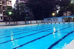 玩咩 推荐广州8个适合游泳的地方 夏天扎进游泳池里才清凉