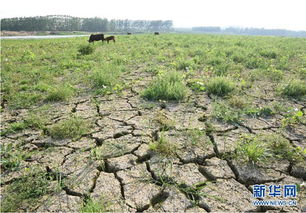 山东迎来及时雨旱情缓解 未来几天持续大范围降水