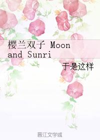 樱兰双子 Moon and Sunrise 于是这样 