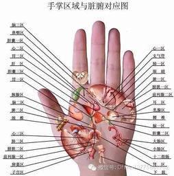 心脏不好的人,手掌有一个保命穴要经常按一按