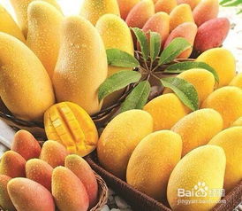 芒果哪些人不能吃 这6类人应忌吃芒果 