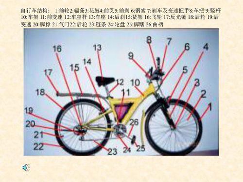 自行车上的力学知识下载 物理 