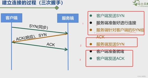 为何大雅查重连表格也不放过？全面解析查重机制