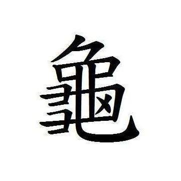 龟 汉语汉字 