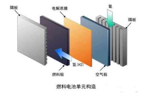 揭秘论文查重技术的诞生：谁是背后的推手？