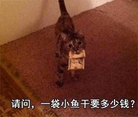 不同品牌的猫粮可以混着吃吗