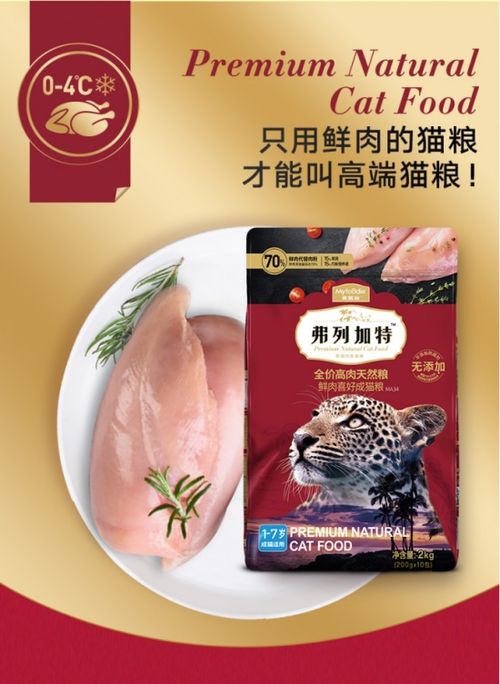 终结铲屎官头号烦恼 麦富迪满足爱猫恢复吃肉天性