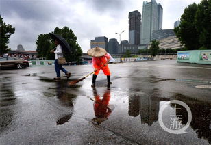 雨中的山城倒影 焕发勃勃生机 组图