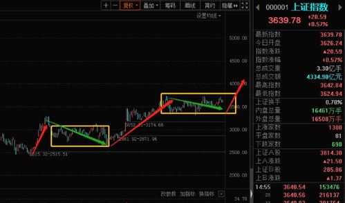 2022年一季度布局什么股票？