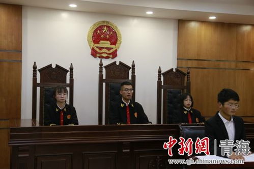 青海高中生角色扮演 模拟法庭 让青少年零距离学法