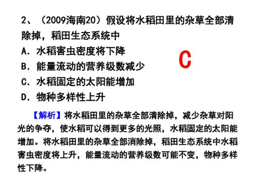 学习汇编到底有什么作用虽然在学却不太真正明白(学汇编的书)