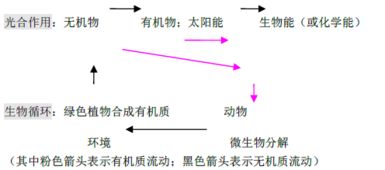 在知识的形成发展变化的过程中