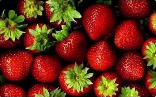 新区人请小心 草莓大量上市,但这5种需谨慎购买