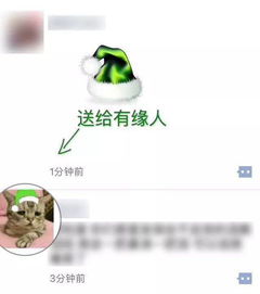 圣诞节校友头像怎么弄好看，《时间的朋友2019》去哪里能看