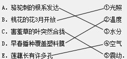 影响下列生物的主要环境因素是什么 请你用直线连接起来A.骆驼刺的根系发达 ①光照B.桃花的花3月开放 ②温度C.害羞草的叶突然合拢 ③水分D.早春播种覆盖塑料膜 ④空气 