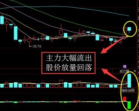 万科股票是那个板块的