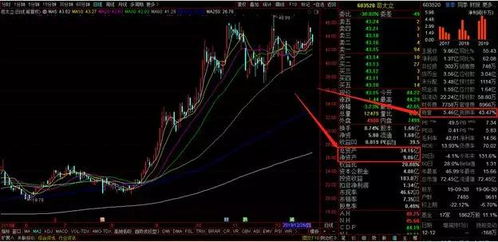 股票高质押是什么意思