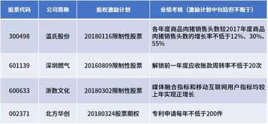 公司实行股权激励需注意什么