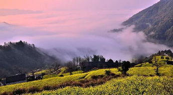 安徽黄山祁门箬坑乡