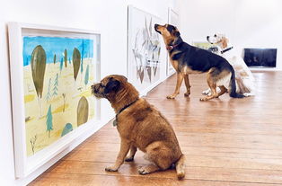 世界上第一个狗展艺术展