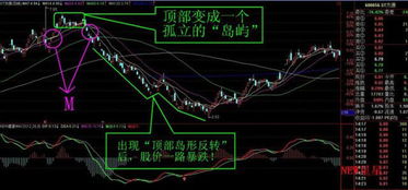 岛形反转 底部会出现先调控高开，再跳空低开吗