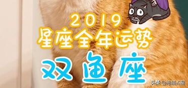 抱猫占星2019年双鱼座全年运势 事业运旺 