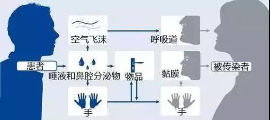 病毒会飘在空气中吗（病毒飘在空气上面还是下面） 第1张