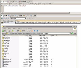 mysql的数据目录可以有多个吗(不是有效的jdk java主目录)