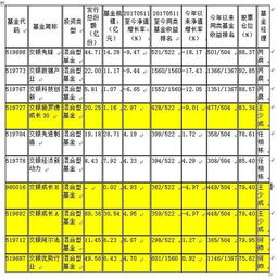 交银施罗德基金为何还在狂跌