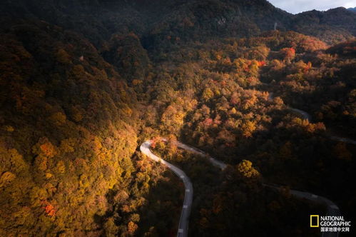 光雾山,中国红叶第一山