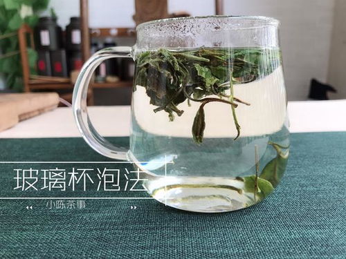 冲泡春茶,新白茶与老白茶大不同,盖碗 煮茶 玻璃杯泡各有讲究