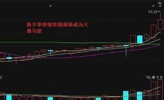 请问换手率超过30%说明什么