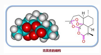 新发现 青蒿素 可能能治 糖尿病 