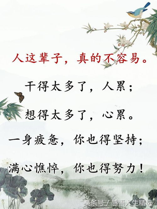 愁的范文,可为与有为的名言？