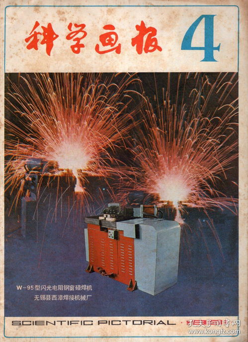 1981年2024年属鸡人的全年运势男