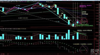 美国股票stockoption窗口期