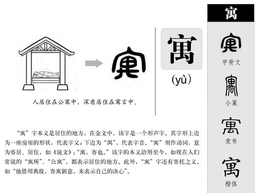 寓的意思 寓字五行属什么 寓字取名的寓意 