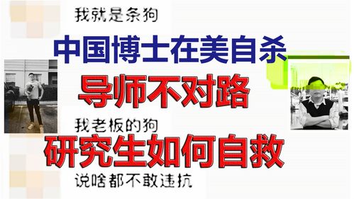 中国博士在美自杀,我是导师的一条狗 碰到不对路导师,研究生三步自救 