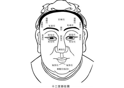 耳朵不同命不同 穷人耳 富人耳 有何差别 你的耳朵是啥样