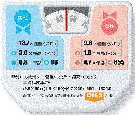 高效查重，从技巧到实践