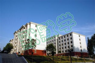 滨江学院怎么样 南京信息工程大学滨江学院怎么样啊!