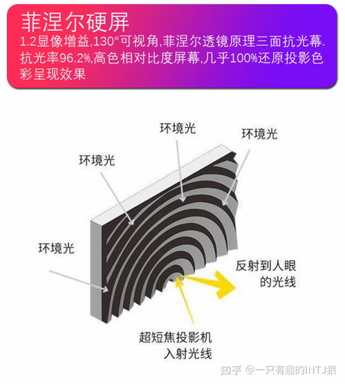 5种幕布与投影漆 235寸视频对比,投影幕布选购全攻略 