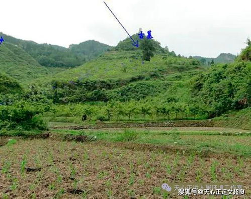 阴宅与命理风水的关系论文(阳宅与阴宅风水对命运的影响有多大)