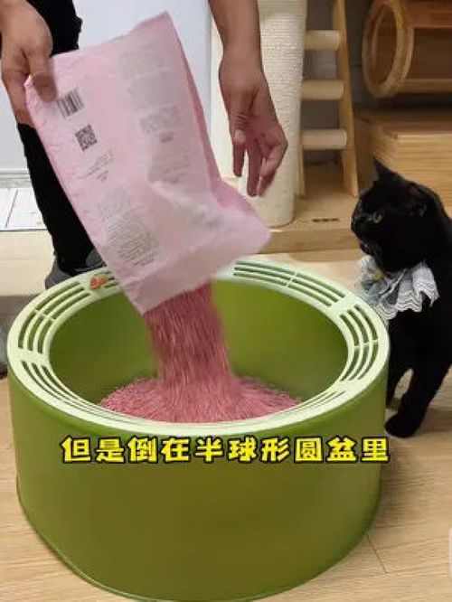 有这么一款猫砂盆可以做到高颜值 省猫砂 防粘底 防飞溅 我真的是太爱了 萌宠好物 猫砂盆 