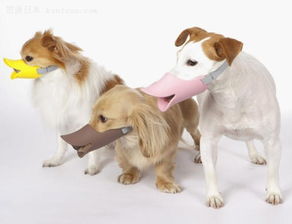 日本狗狗专用口罩 一秒钟变鸭子 