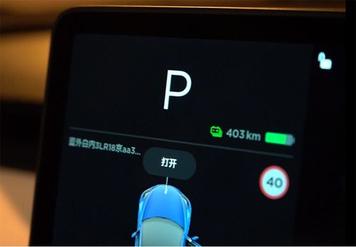 国产特斯拉Model 3长续航版北京三九天续航测试