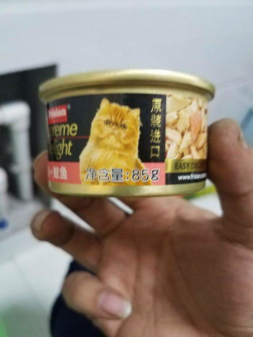 猫主食罐头每天吃多少 