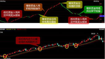 怎么样能简单明了的看明白股票走势