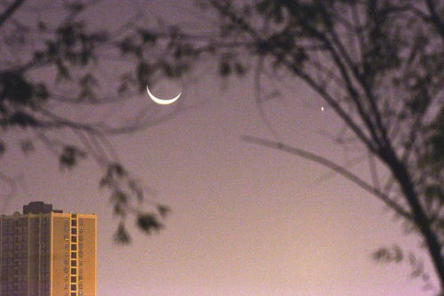 图说新疆 新疆库尔勒 金星合月 给天空留下浪漫色彩
